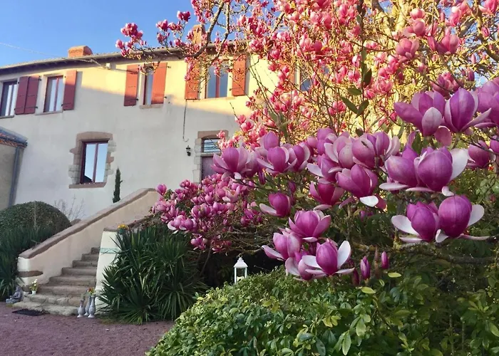 Domaine Le Jardin Suspendu Proche Puydufou Les Epesses לינה וארוחת בוקר Montfaucon-Montigne